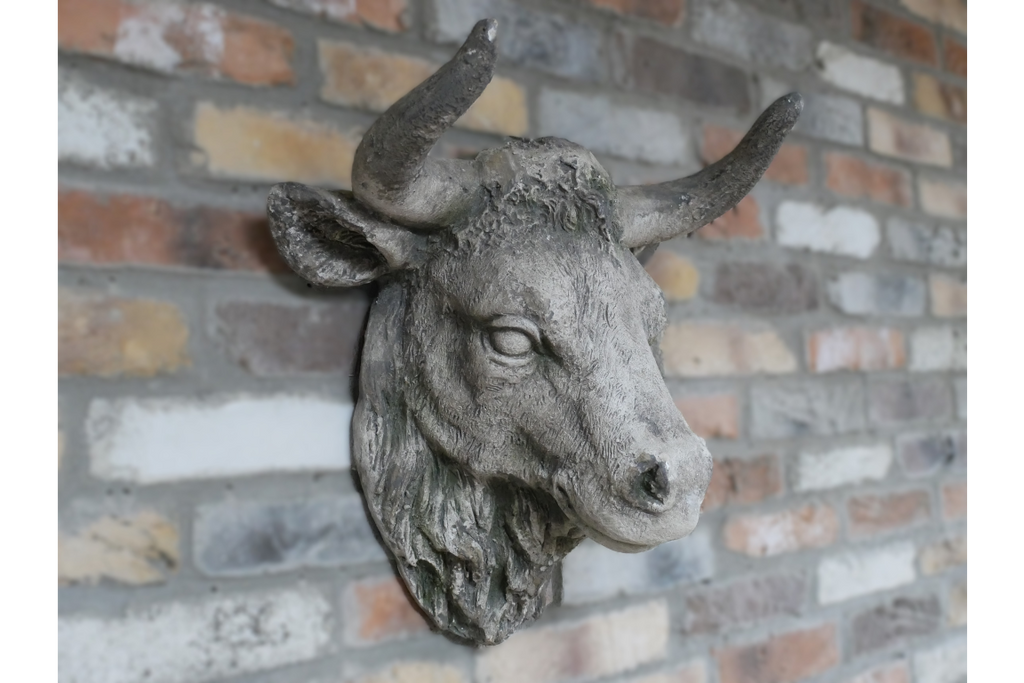 Cow Head