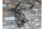 Cow Head