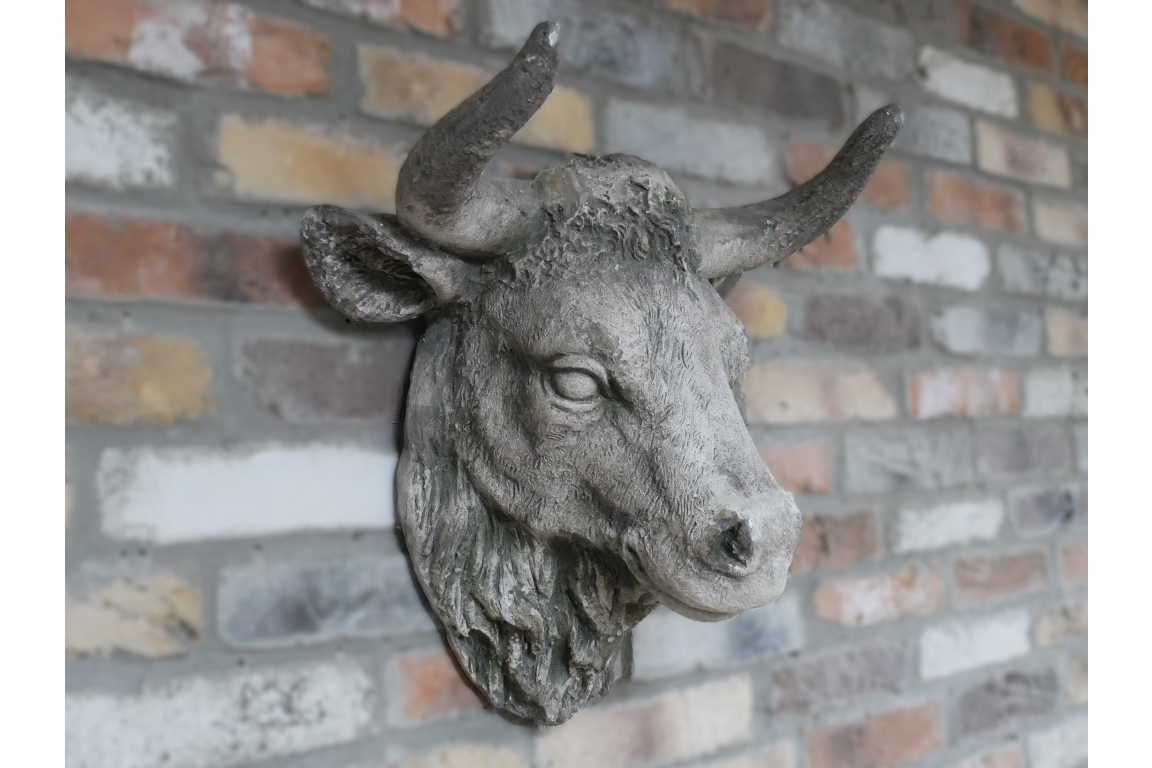 Cow Head