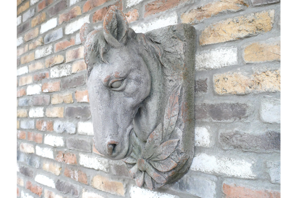 Horse Head