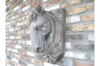 Horse Head