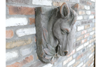 Horse Head
