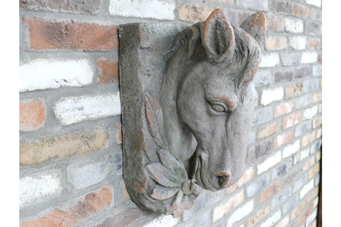 Horse Head
