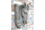 Horse Head