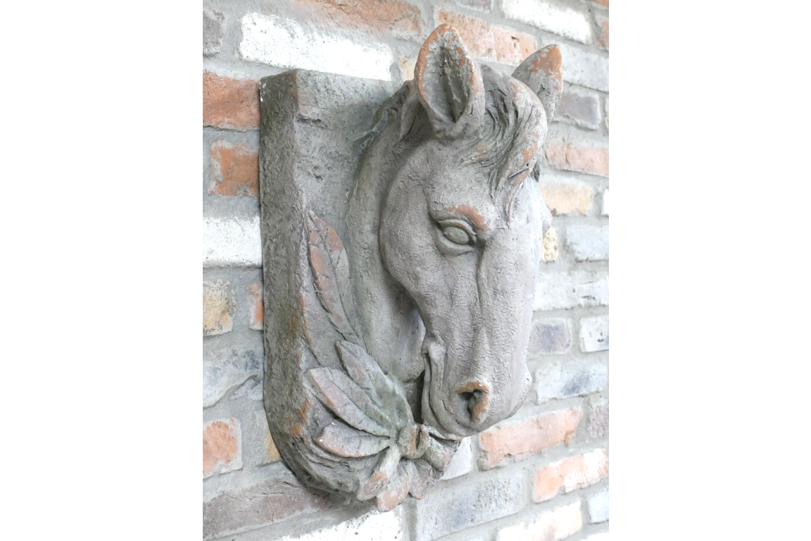 Horse Head