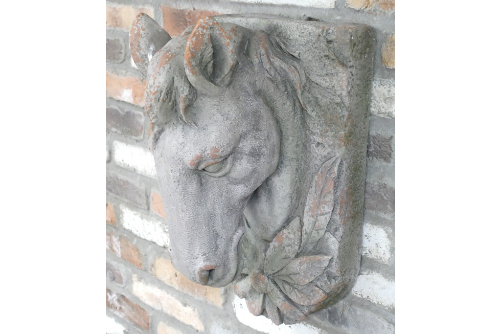Horse Head