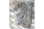 Horse Head