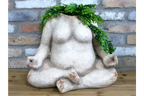 The Body