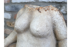 The Body