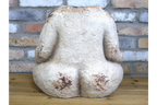 The Body