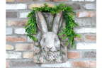 Rabbit Head