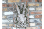 Rabbit Head
