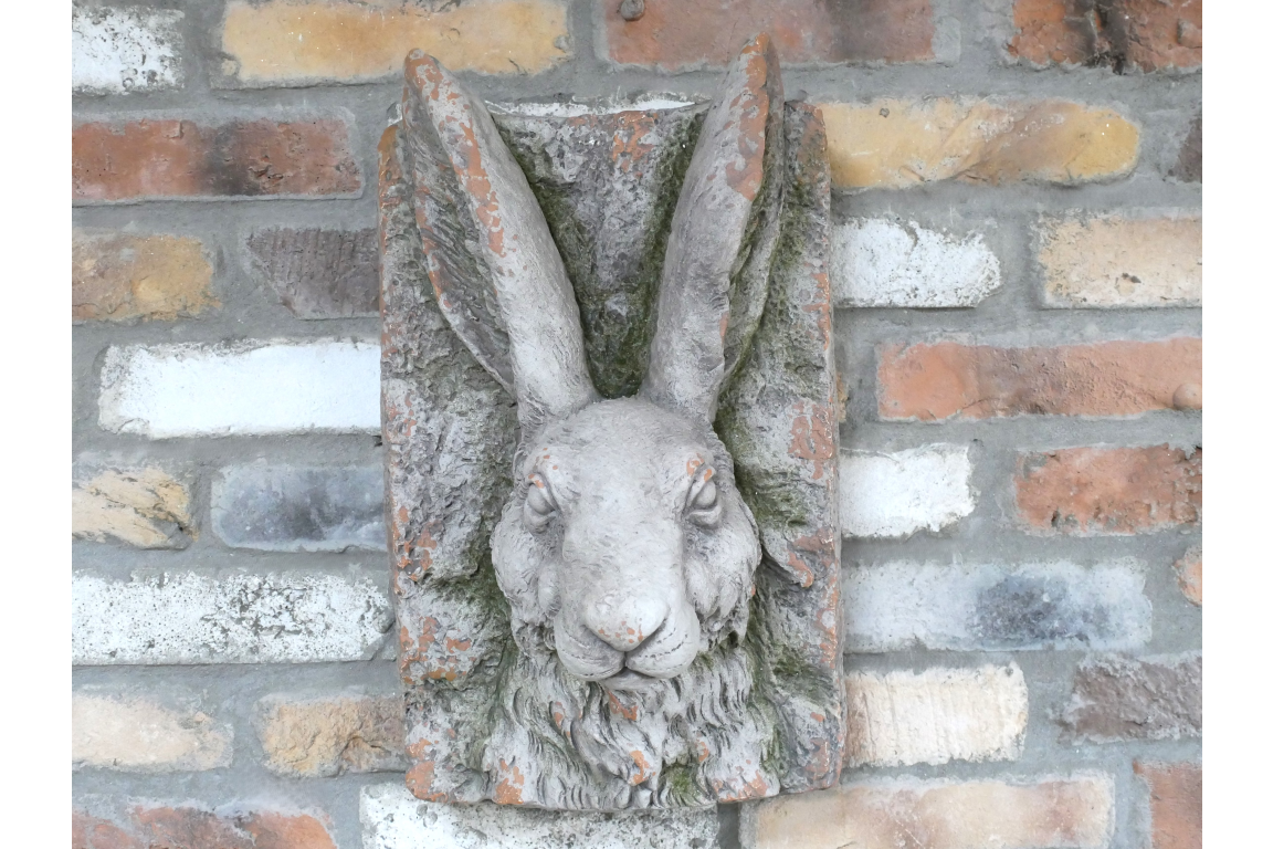 Rabbit Head