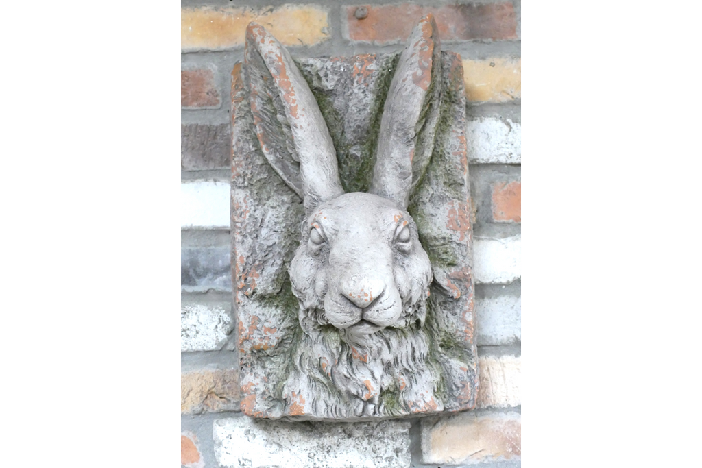 Rabbit Head