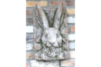 Rabbit Head