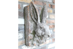 Rabbit Head