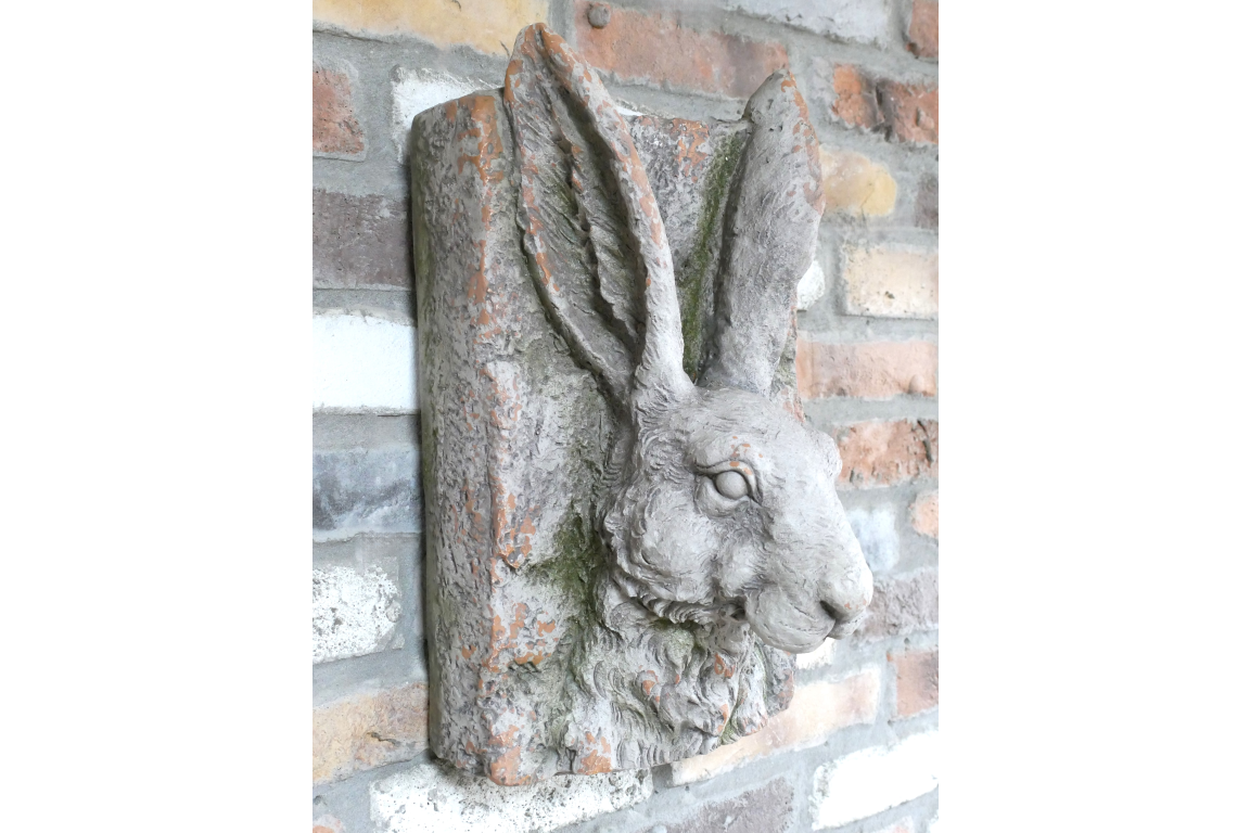 Rabbit Head