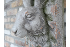 Rabbit Head