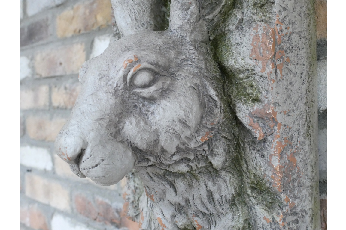 Rabbit Head