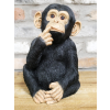 Finger In Mouth Monkey