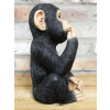Finger In Mouth Monkey