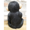 Finger In Mouth Monkey