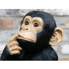Finger In Mouth Monkey