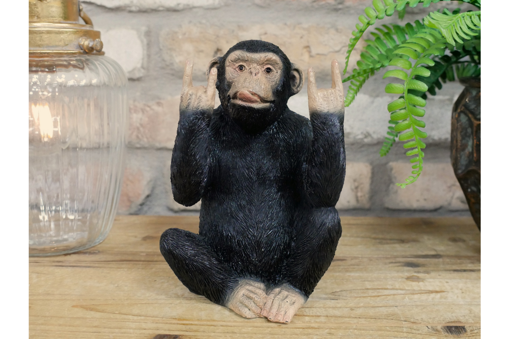 Rock N Roll Monkey