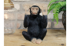 Rock N Roll Monkey
