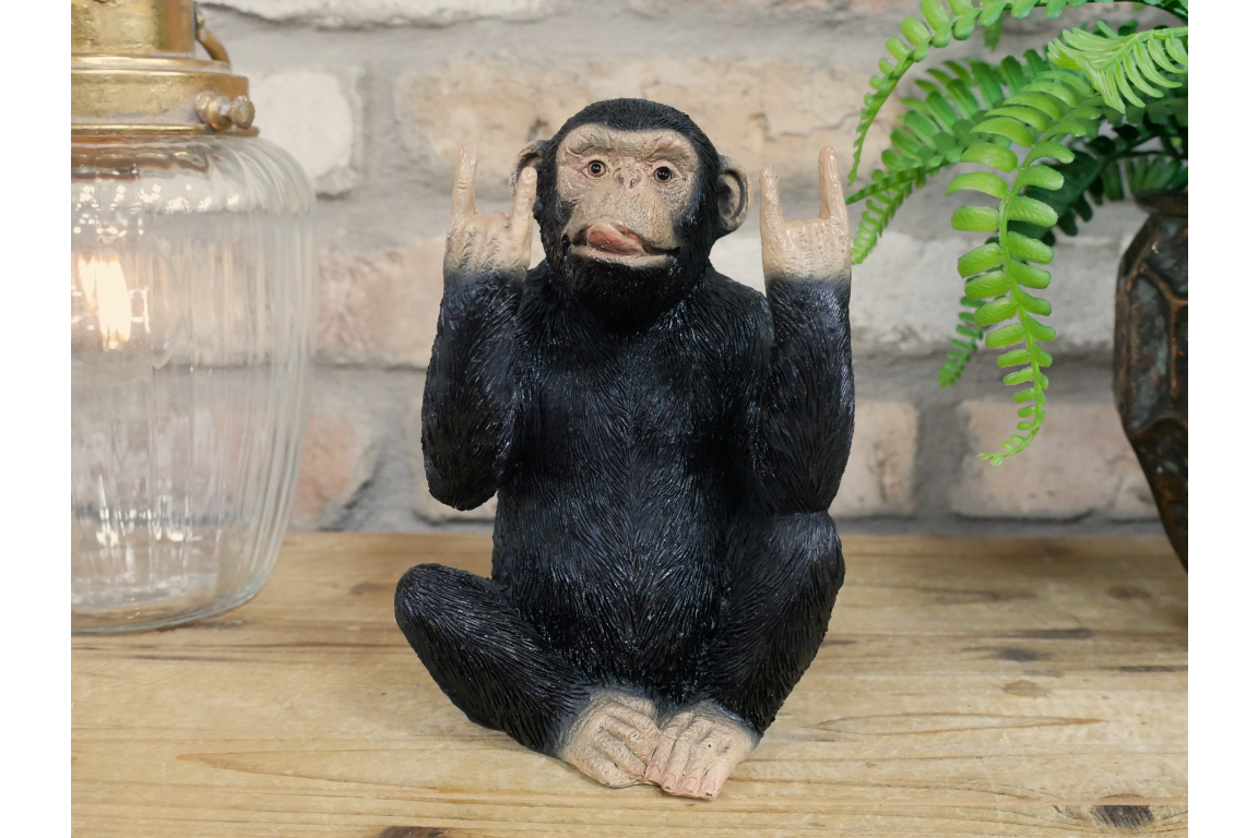 Rock N Roll Monkey