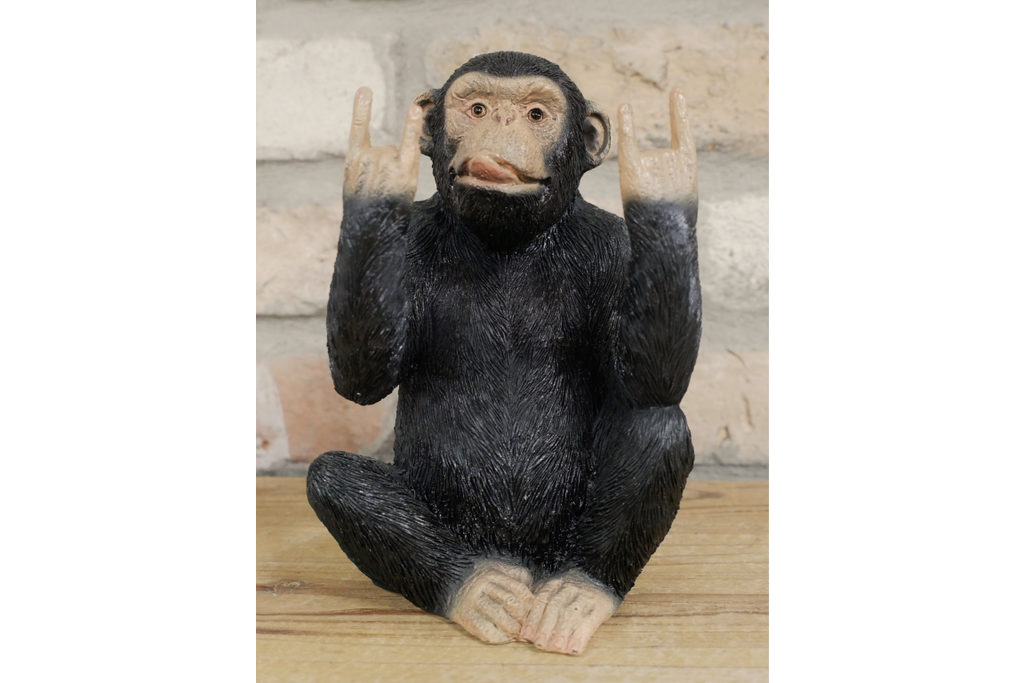 Rock N Roll Monkey