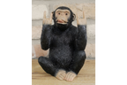 Rock N Roll Monkey
