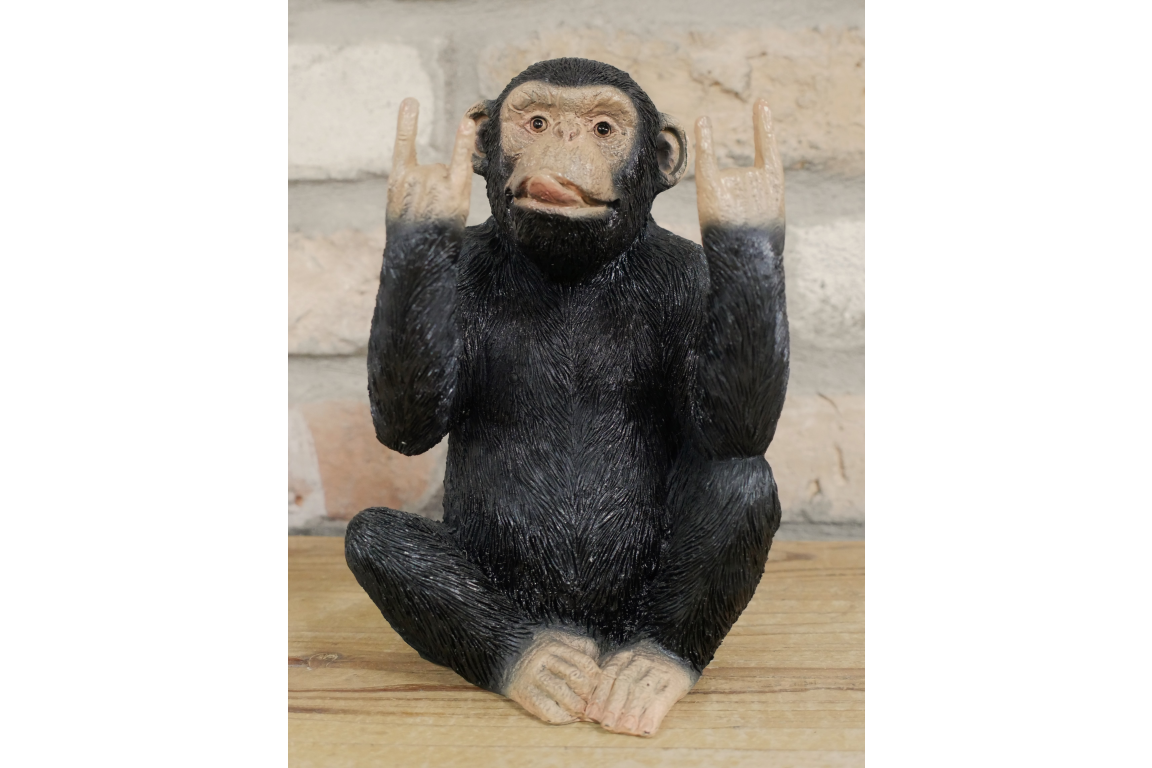 Rock N Roll Monkey