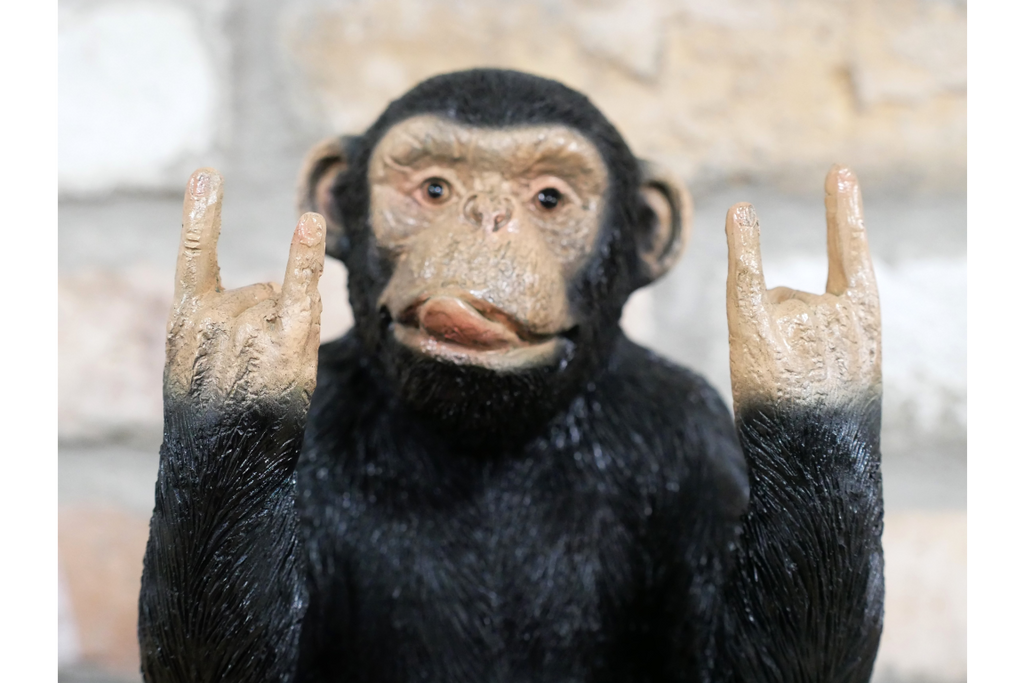Rock N Roll Monkey