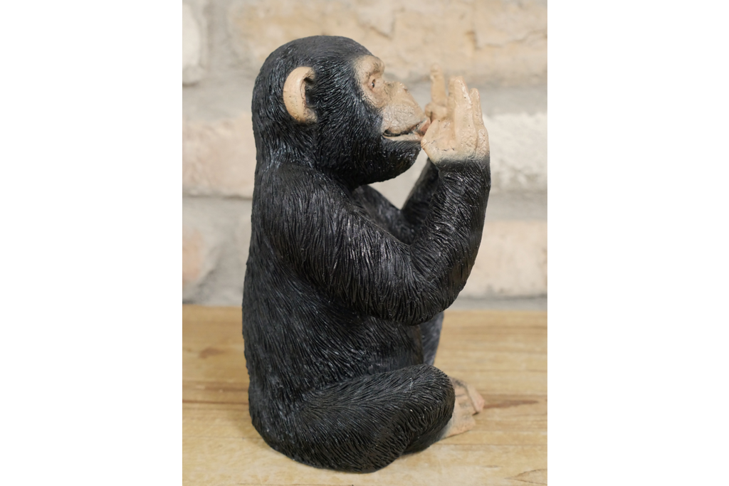 Rock N Roll Monkey