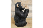 Rock N Roll Monkey