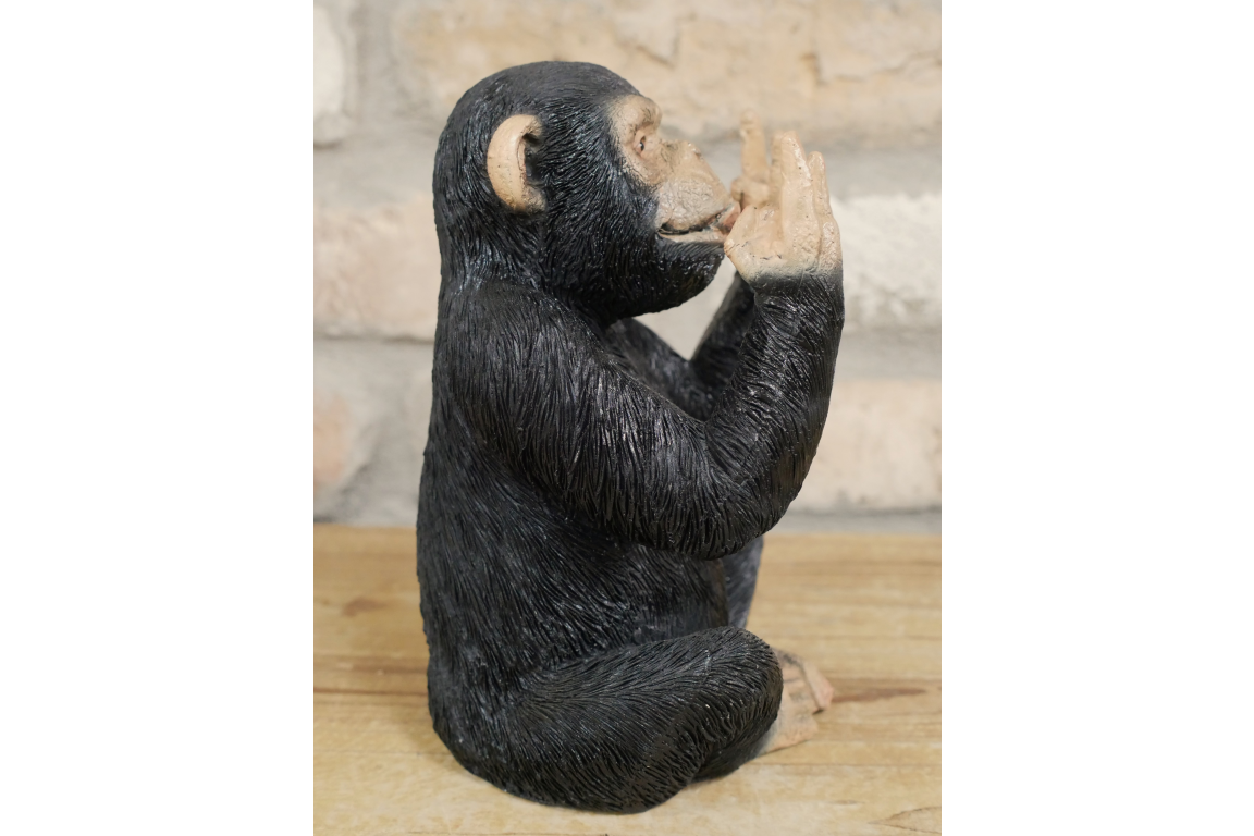 Rock N Roll Monkey