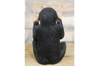 Rock N Roll Monkey