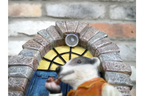 Badger Door - Solar Light
