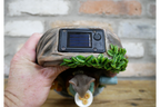 Mouse Door - Solar Light