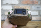 Bear Door - Solar Light