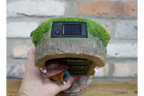 Fox Door - Solar Light