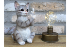Up Yours Cat