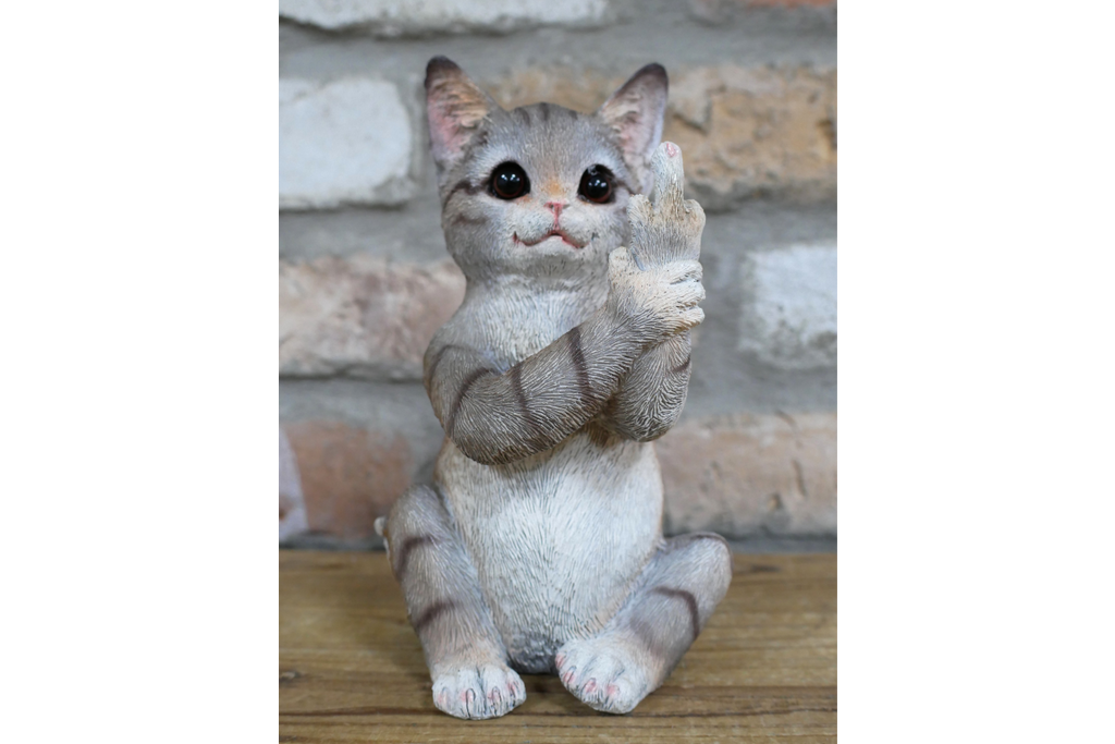 Up Yours Cat