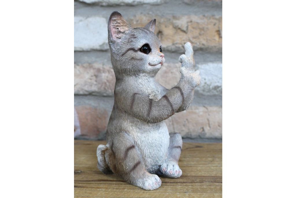 Up Yours Cat