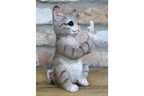 Up Yours Cat
