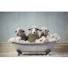 Sheep In Bath Wall Art