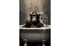 Monkey In Bath Wall Art