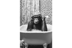 Monkey In Bath Wall Art