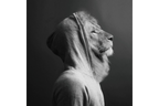 Lion In Hoodie Wall Art - Mini